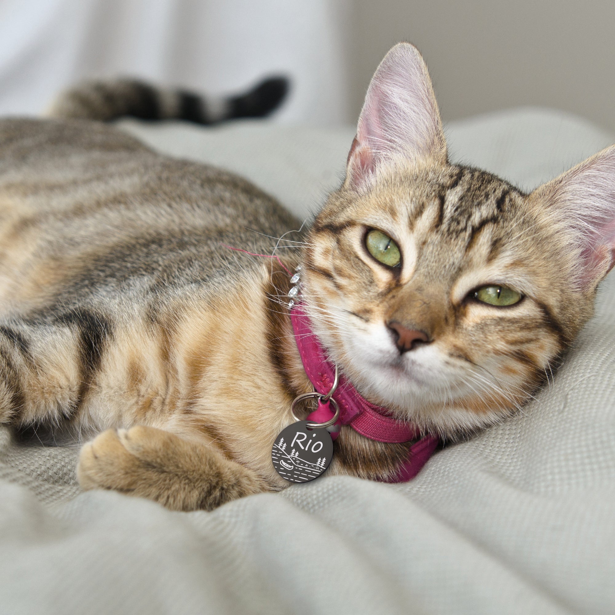 Boat in Lake Round Pet ID Tag