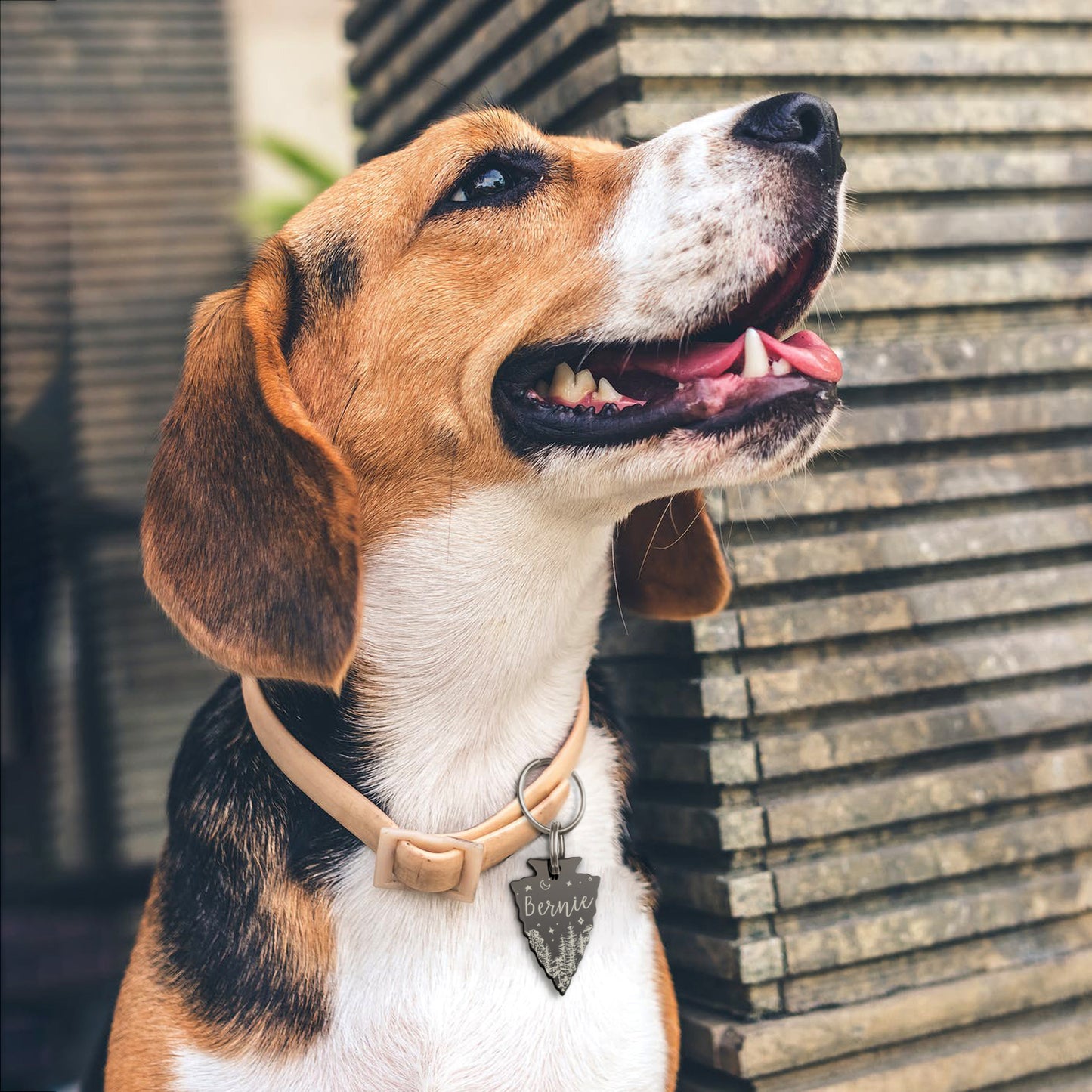 Personalized Arrowhead Shaped Woods and Stars Themed Pet ID Dog Tag