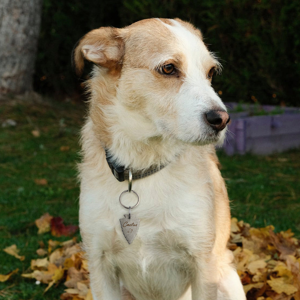 Custom Arrowhead Pet ID Dog Tag