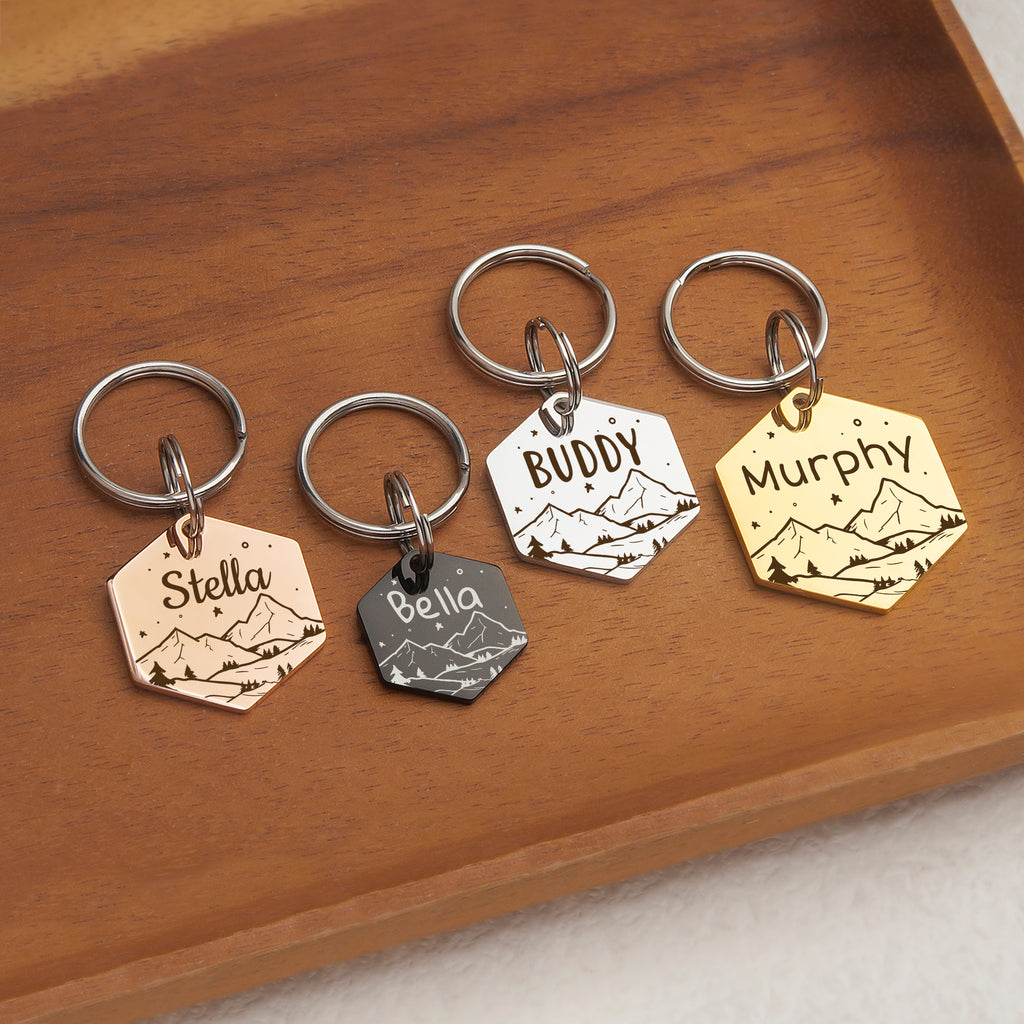 Mountain Starry Sky Hexagon Pet ID Dog Tag