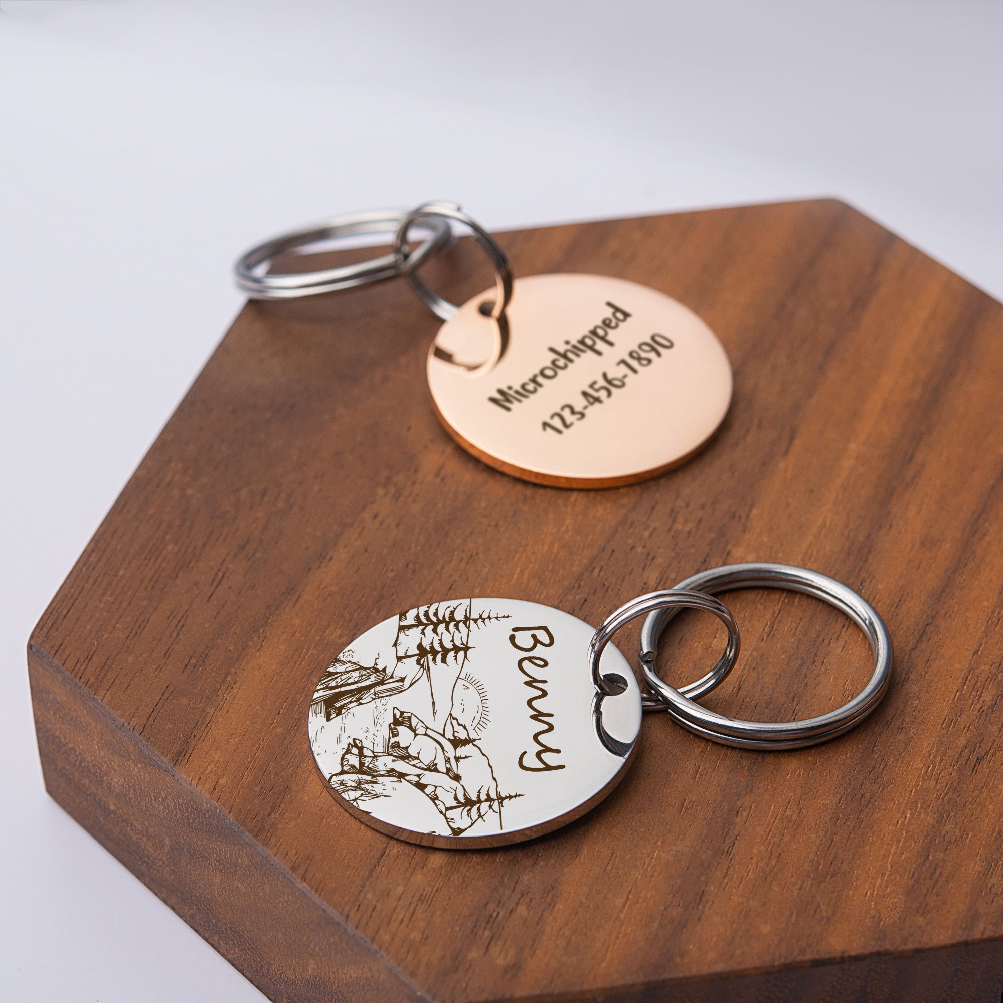 Mountain Sunrise Round Pet ID Dog Tag