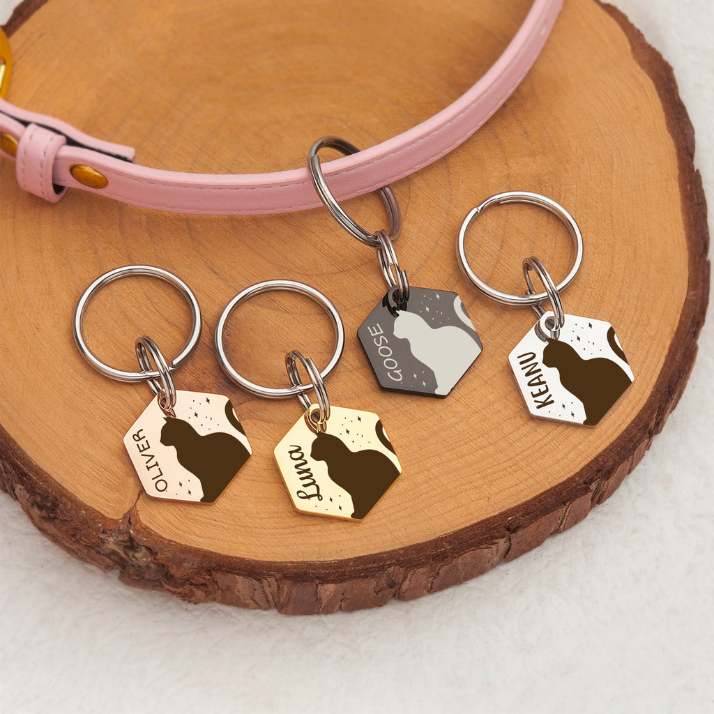 Hexagon Cat Stars Pet ID Dog Tag