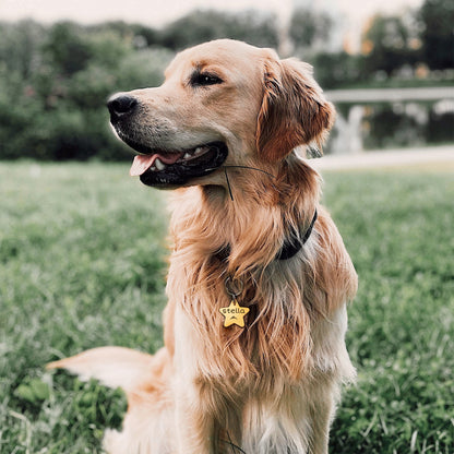 Personalized Star Shaped Name and Icon Pet ID Dog Tag