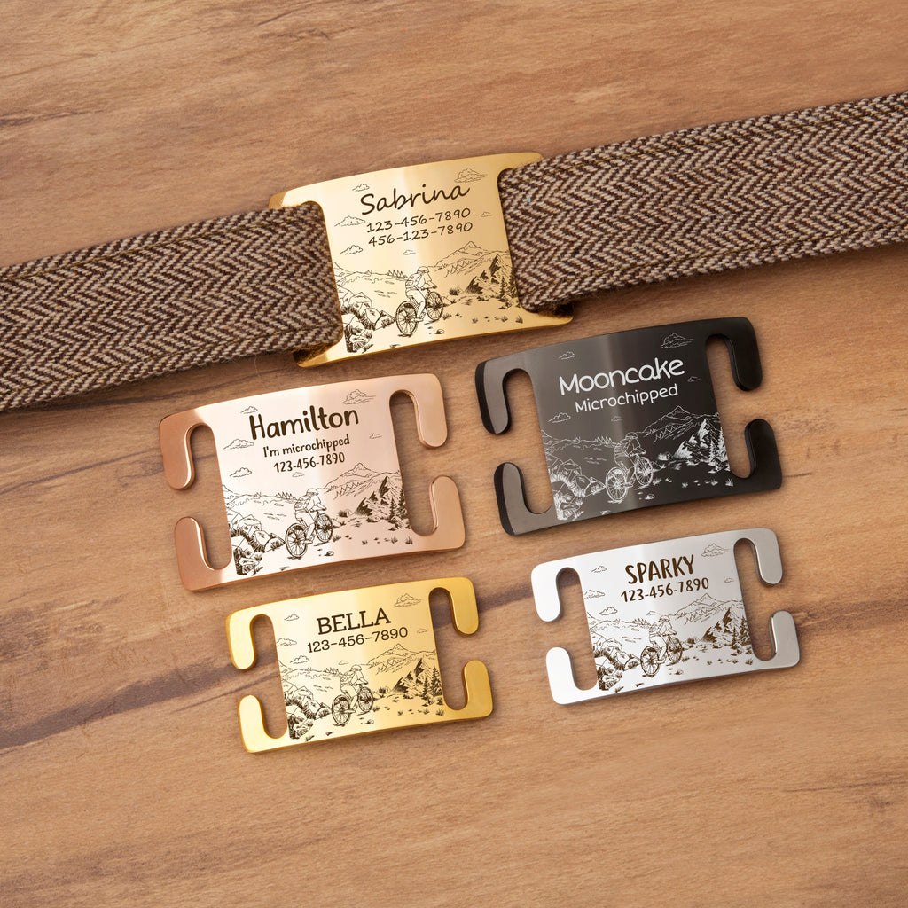 Outdoor Biking Slide-On Pet ID Tag