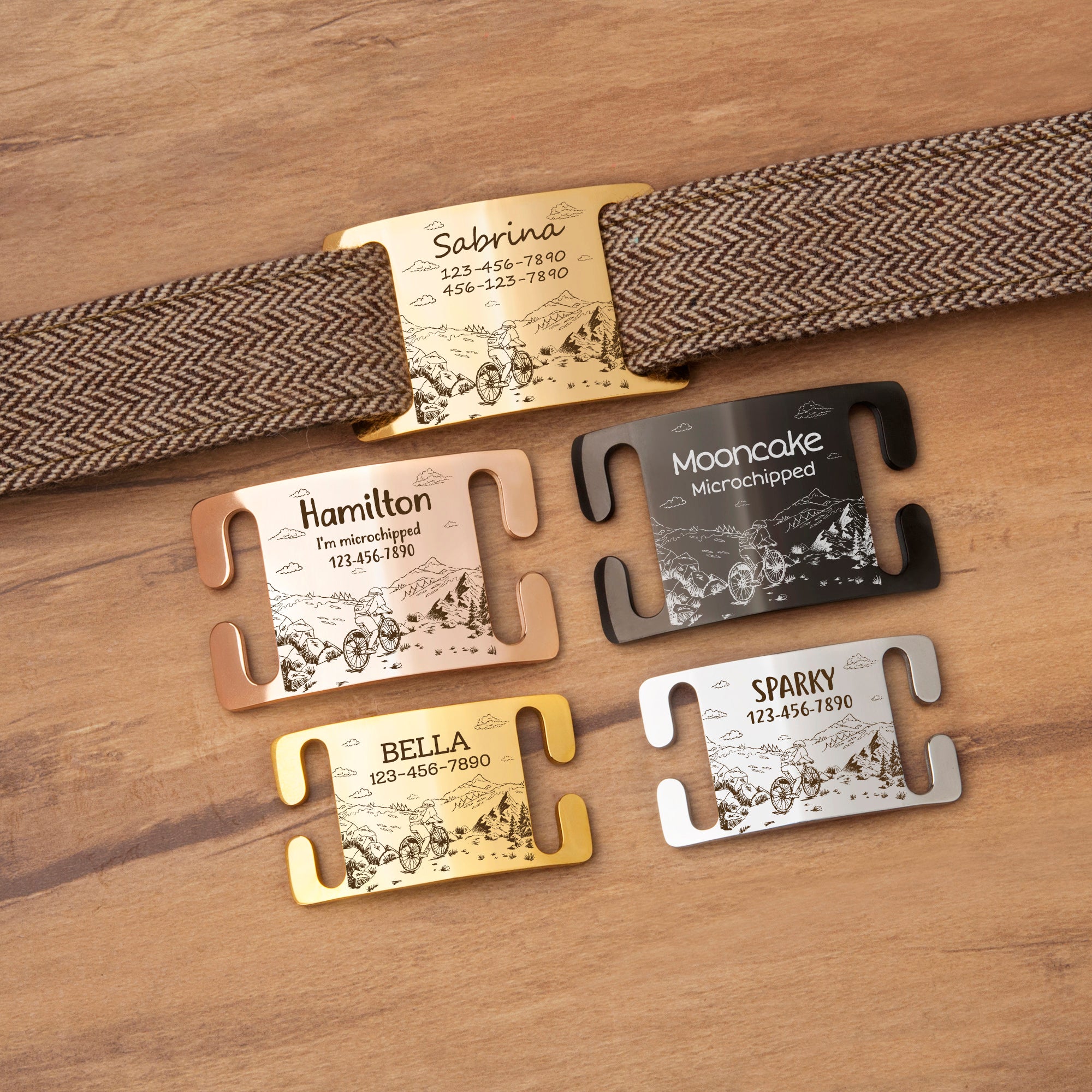Outdoor Biking Slide-On Pet ID Tag
