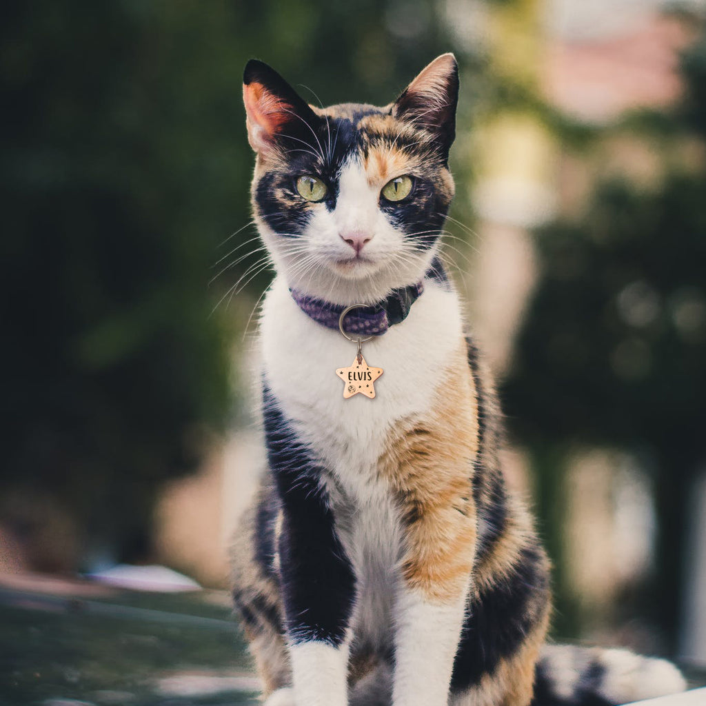 Personalized Space Themed Star Shaped Pet ID Dog Tag