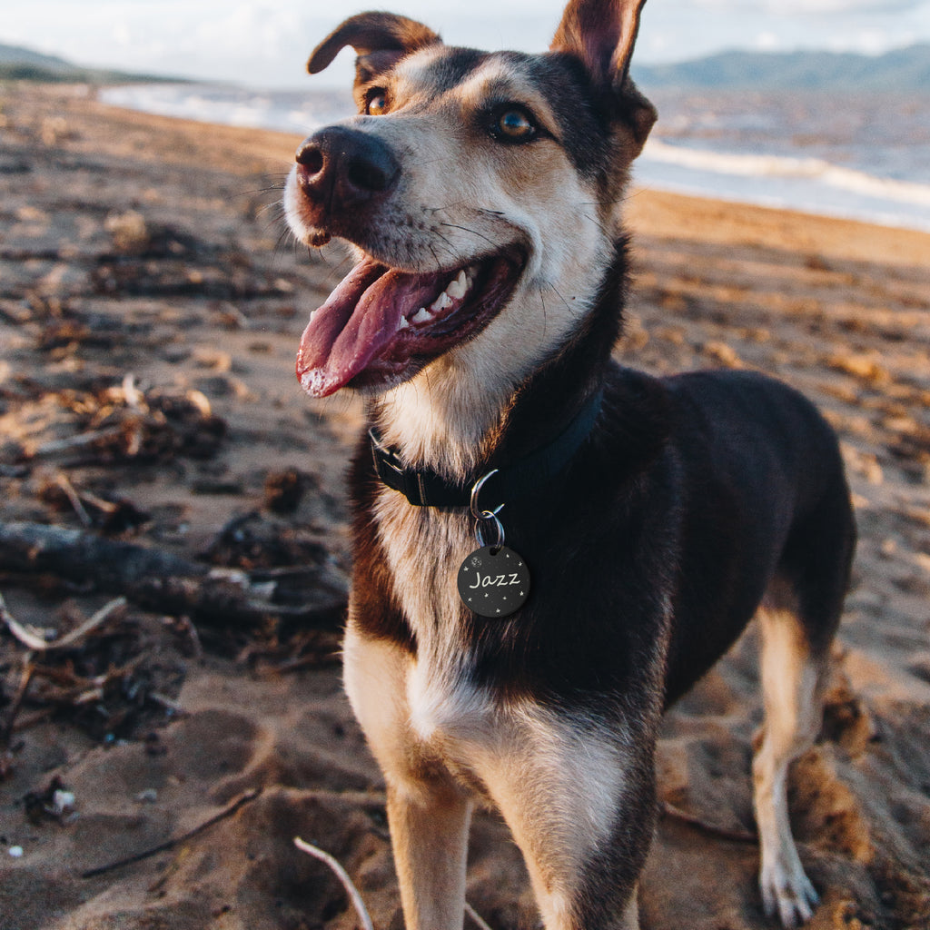Stars Round Pet ID Tag