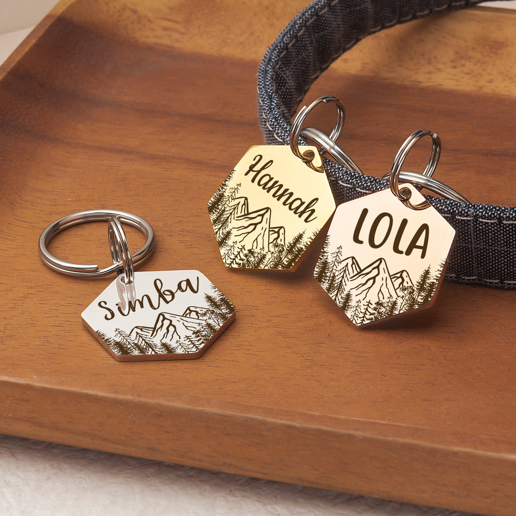 Hexagon Mountain Peak Shaped Pet ID Dog Tag