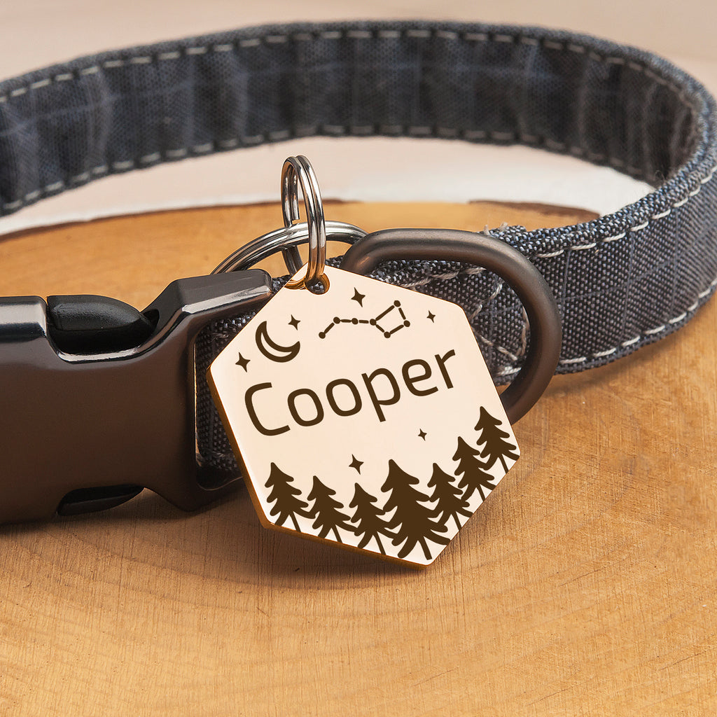 Personalized Hexagon Stainless Steel Pet ID Tag