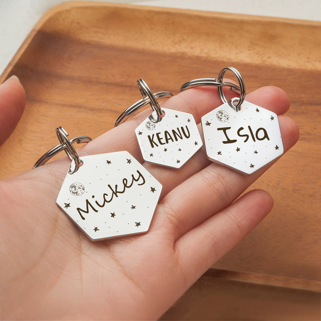 Space Hexagon Pet ID Dog Tag