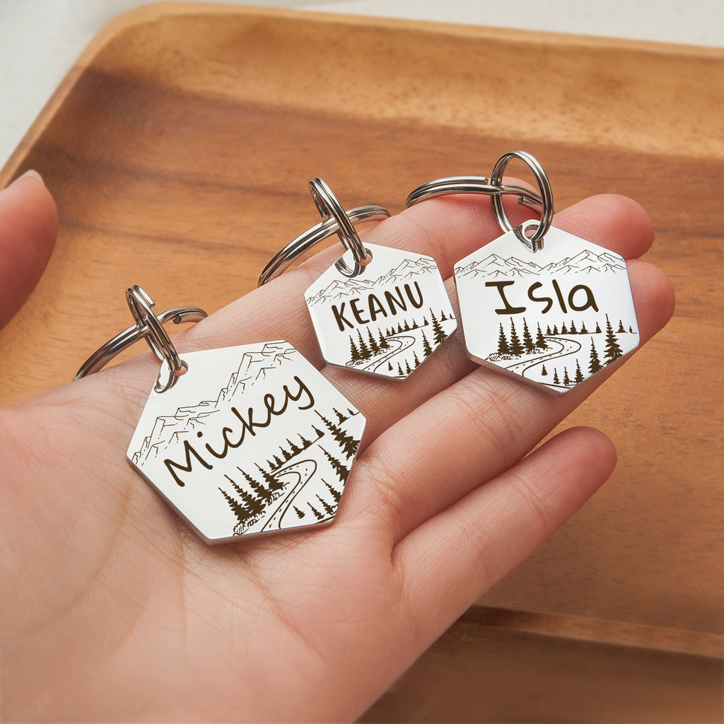 Hexagon Mountain Road  Pet ID Dog Tag