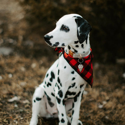 Personalized Arrowhead Shaped Mountain Peak Themed Pet ID Dog Tag