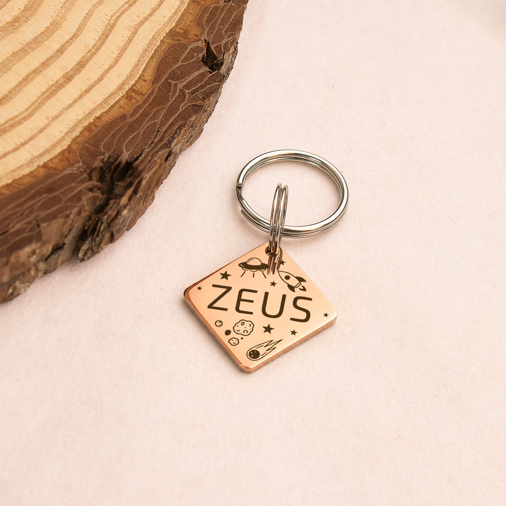 Personalized Diamond Stainless Steel Pet ID Tag