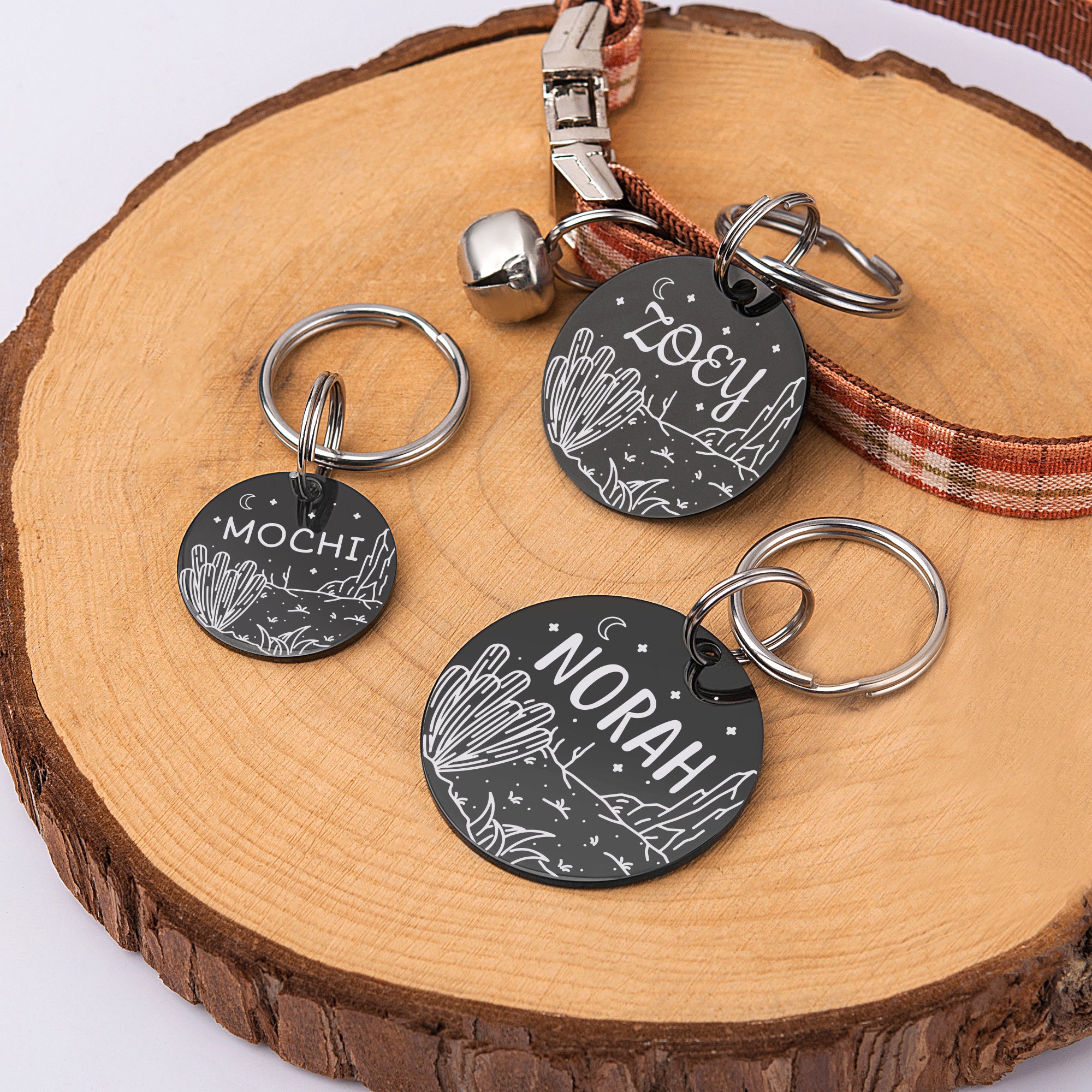 Desert Cactus Round Pet ID Tag