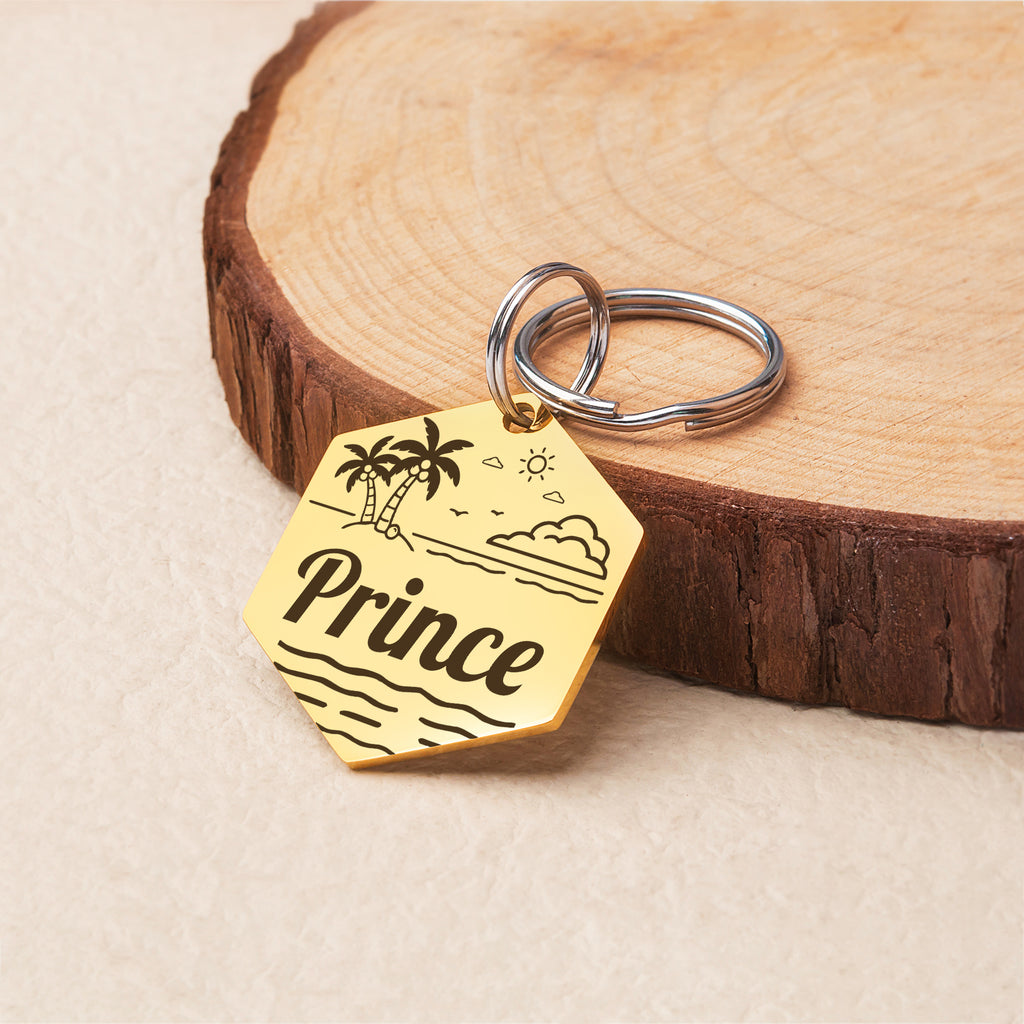 Personalized Hexagon Stainless Steel Pet ID Tag