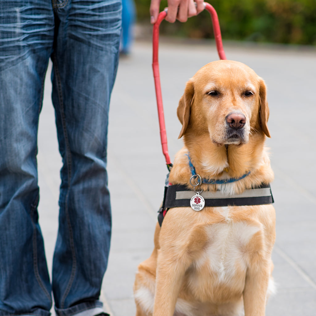 Service Dog Medical Alert Pet ID Dog Tag