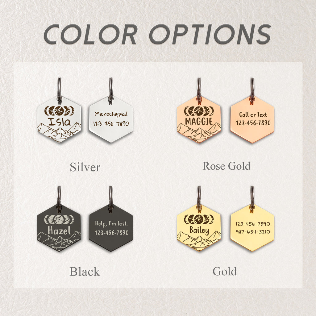 Hexagon Moon Phases Pet ID Tag