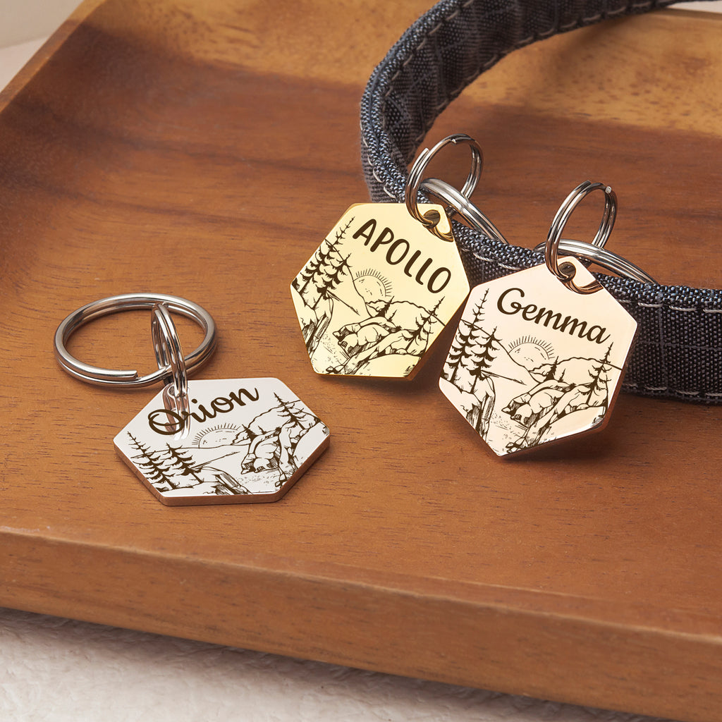 Hexagon Mountain Sunrise Pet ID Dog Tag