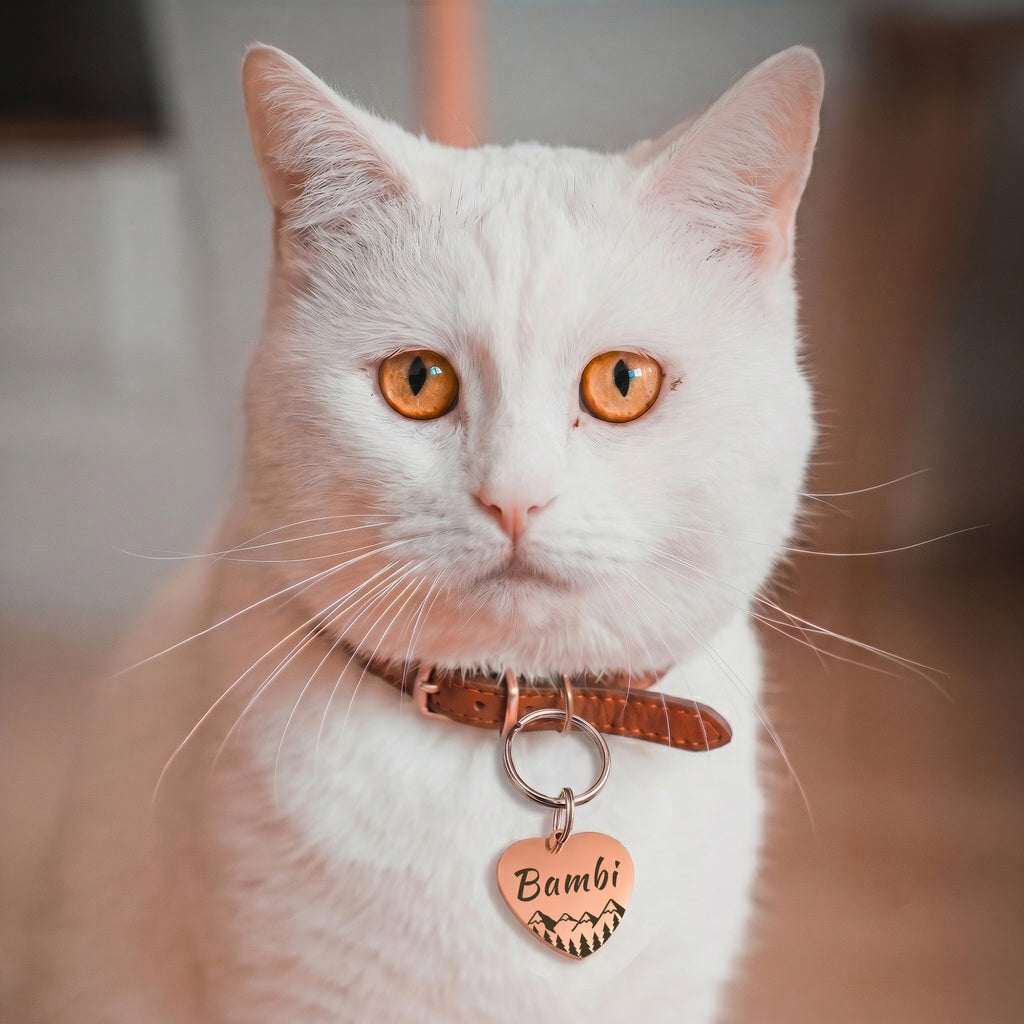 Personalized Heart Stainless Steel Pet ID Tag