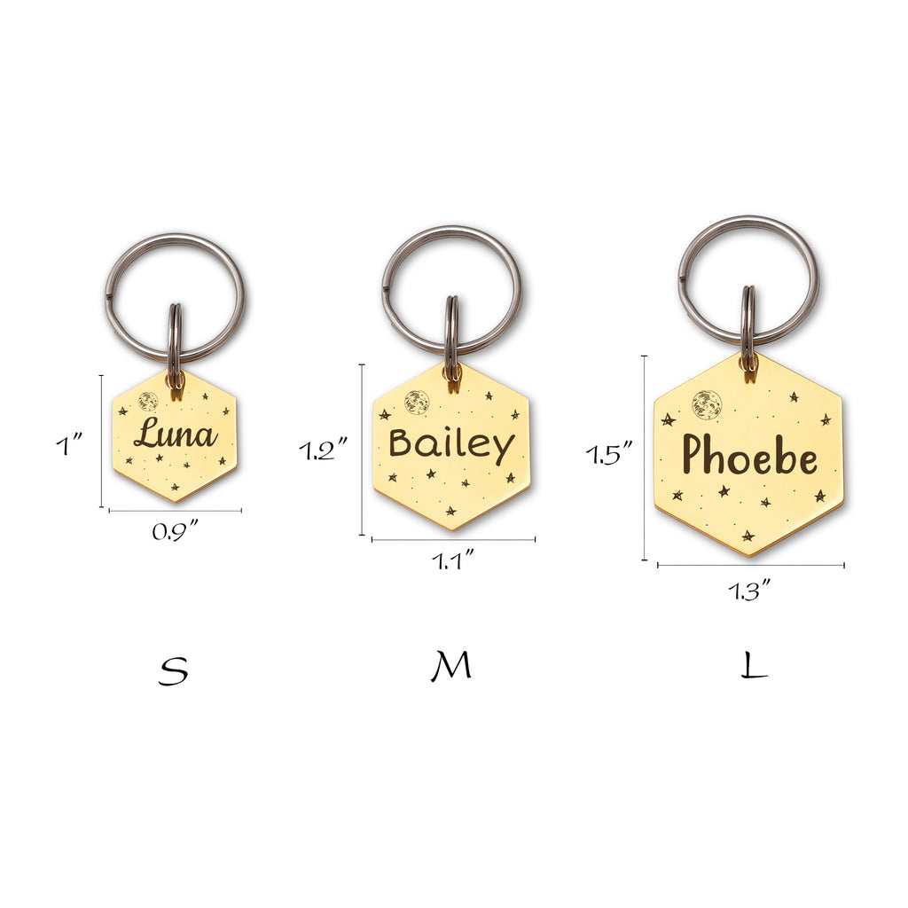 Space Hexagon Pet ID Dog Tag
