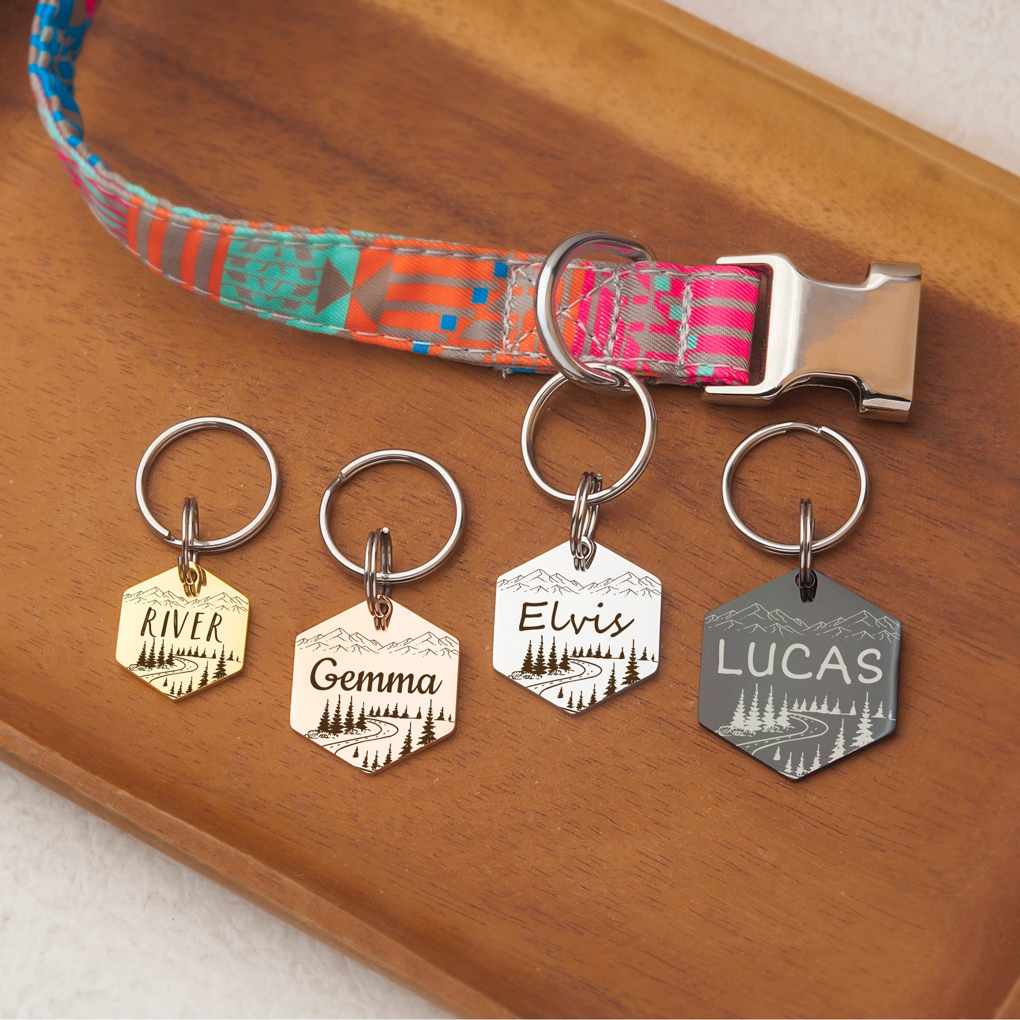 Hexagon Mountain Road  Pet ID Dog Tag