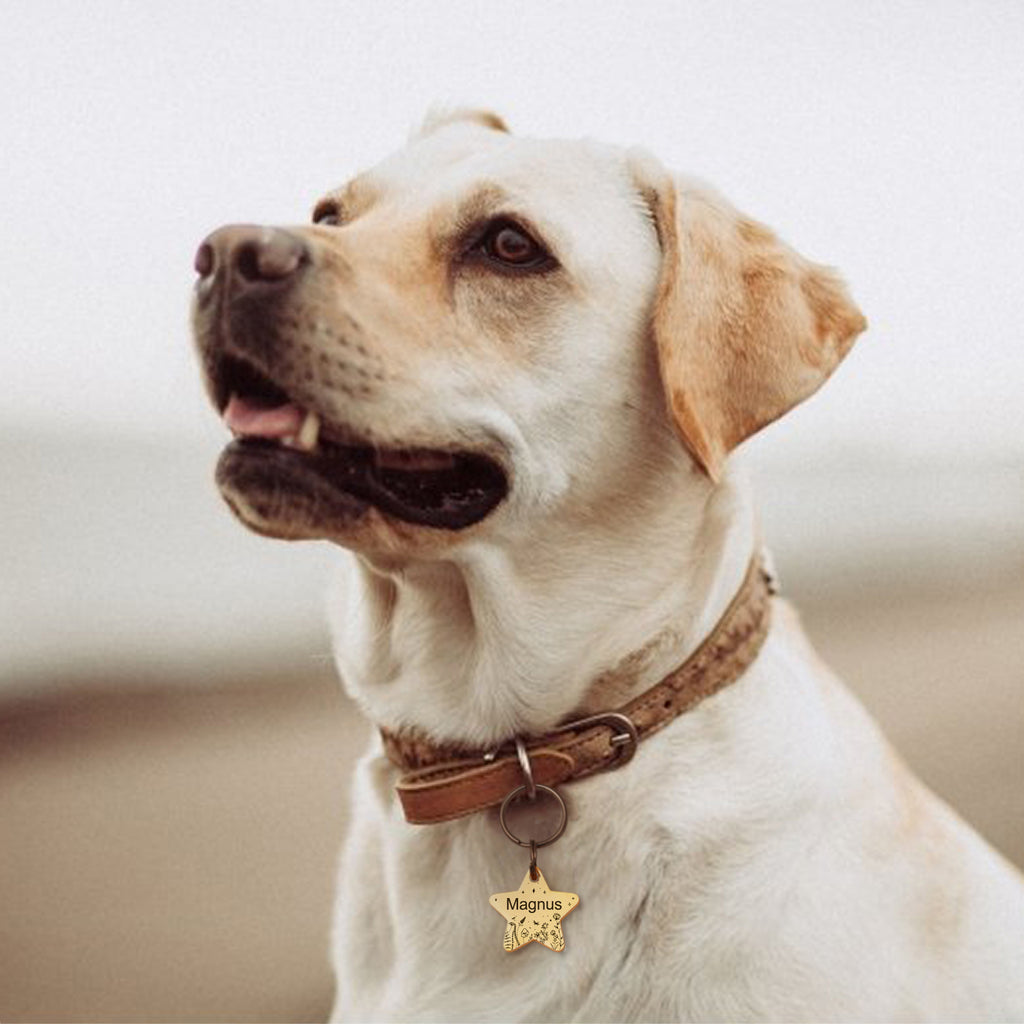 Wildflowers Star Shaped Pet ID Dog Tag