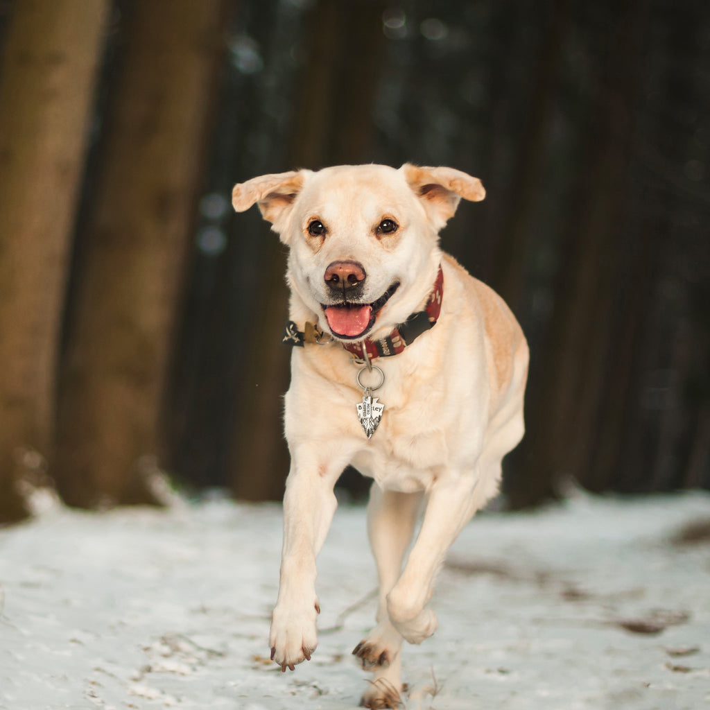 Add-on Mini Rectangle Stainless Steel Pet ID Dog Tag
