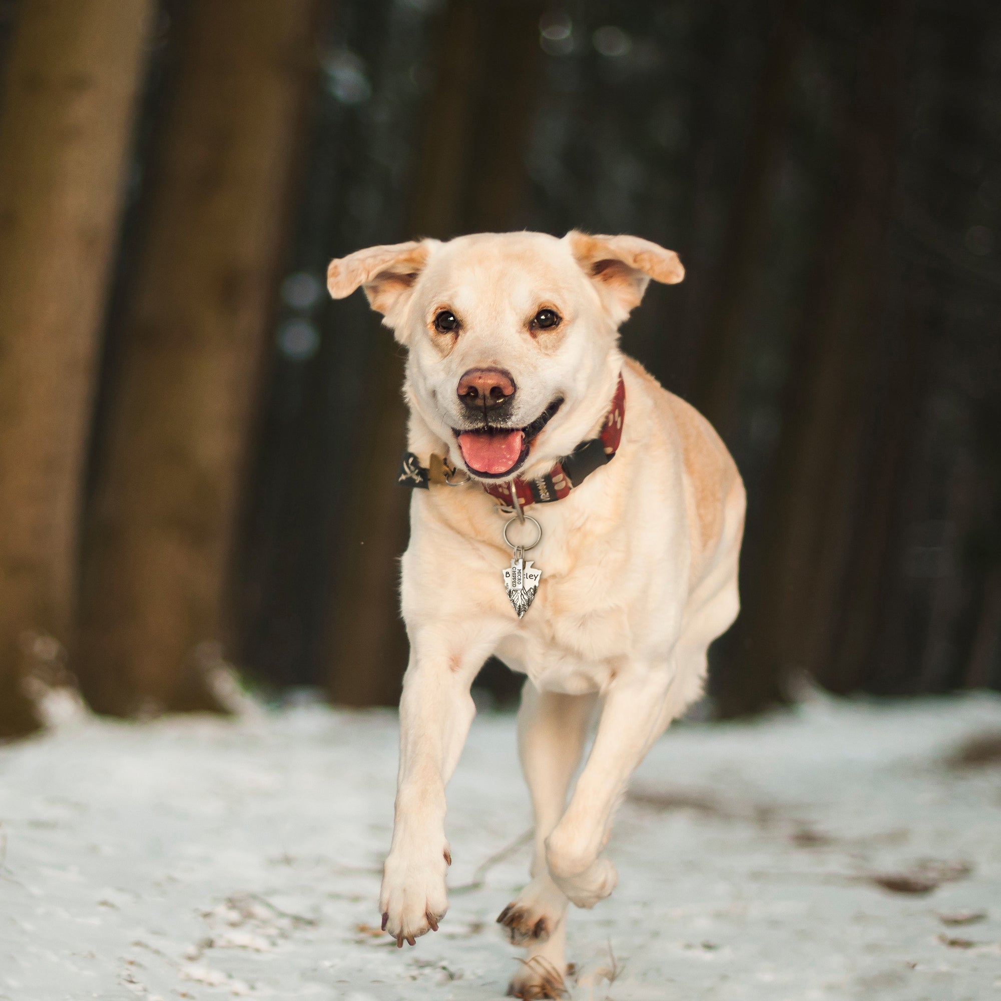 Add-on Mini Rectangle Stainless Steel Pet ID Dog Tag