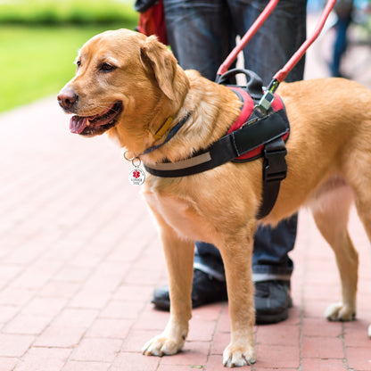 Service Dog Medical Alert Pet ID Tag