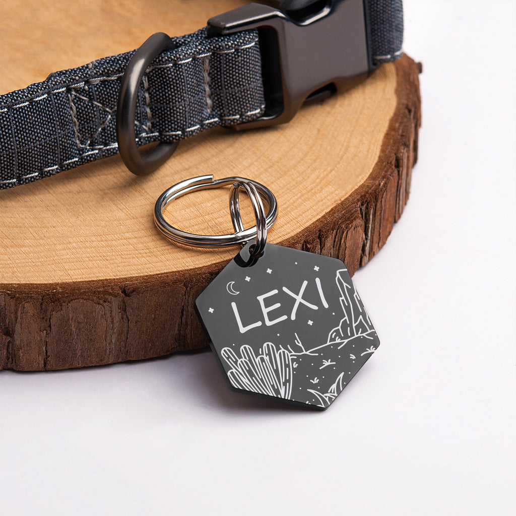 Desert Cactus Hexagon Pet ID Dog Tag