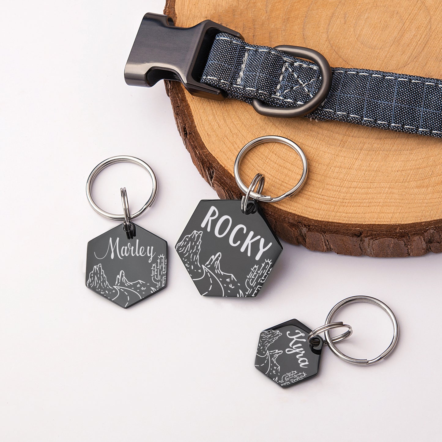 Personalized Rocky Road Cactus Hexagon Shaped Pet ID Dog Tag for Cat or Dog