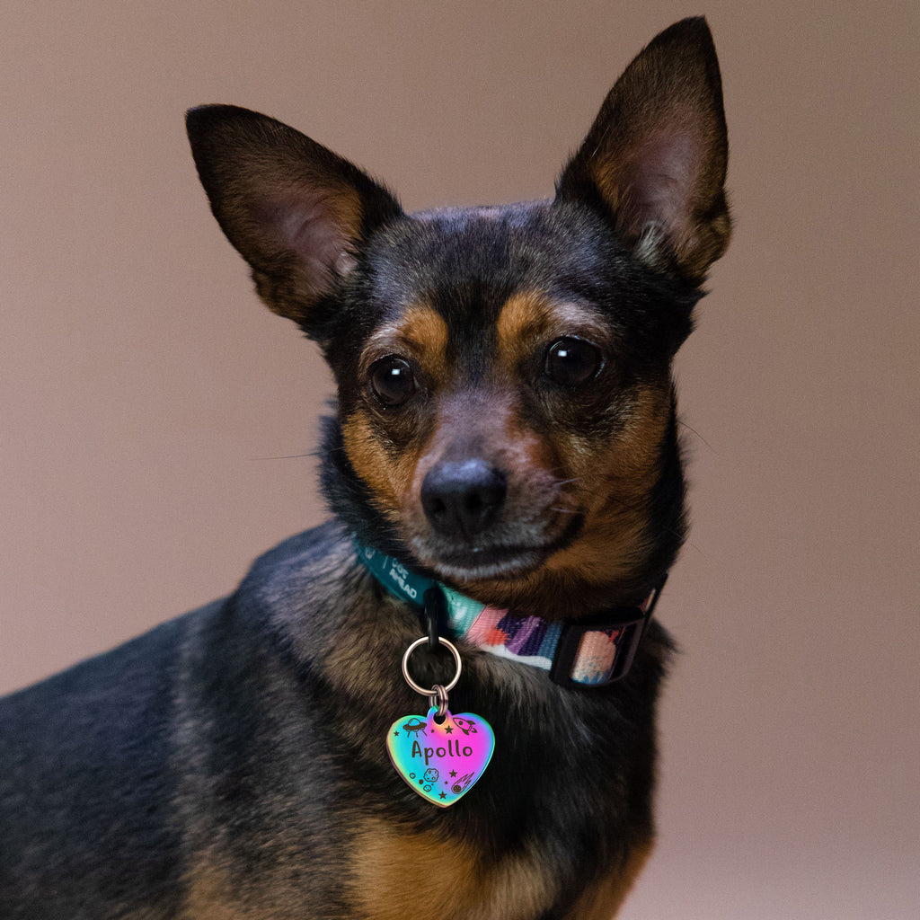 Personalized Heart Stainless Steel Pet ID Tag