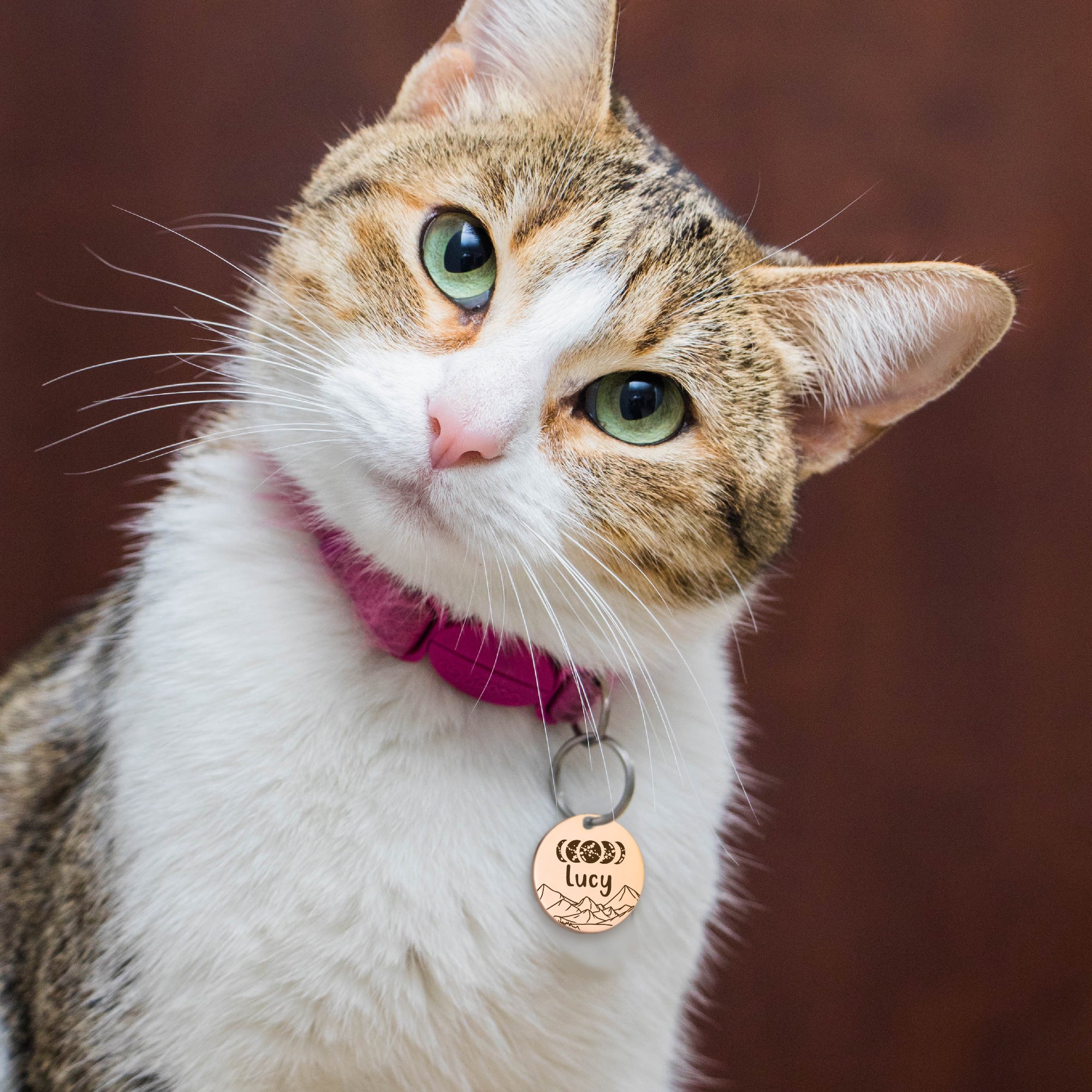 Moon Phases Round Pet Tag