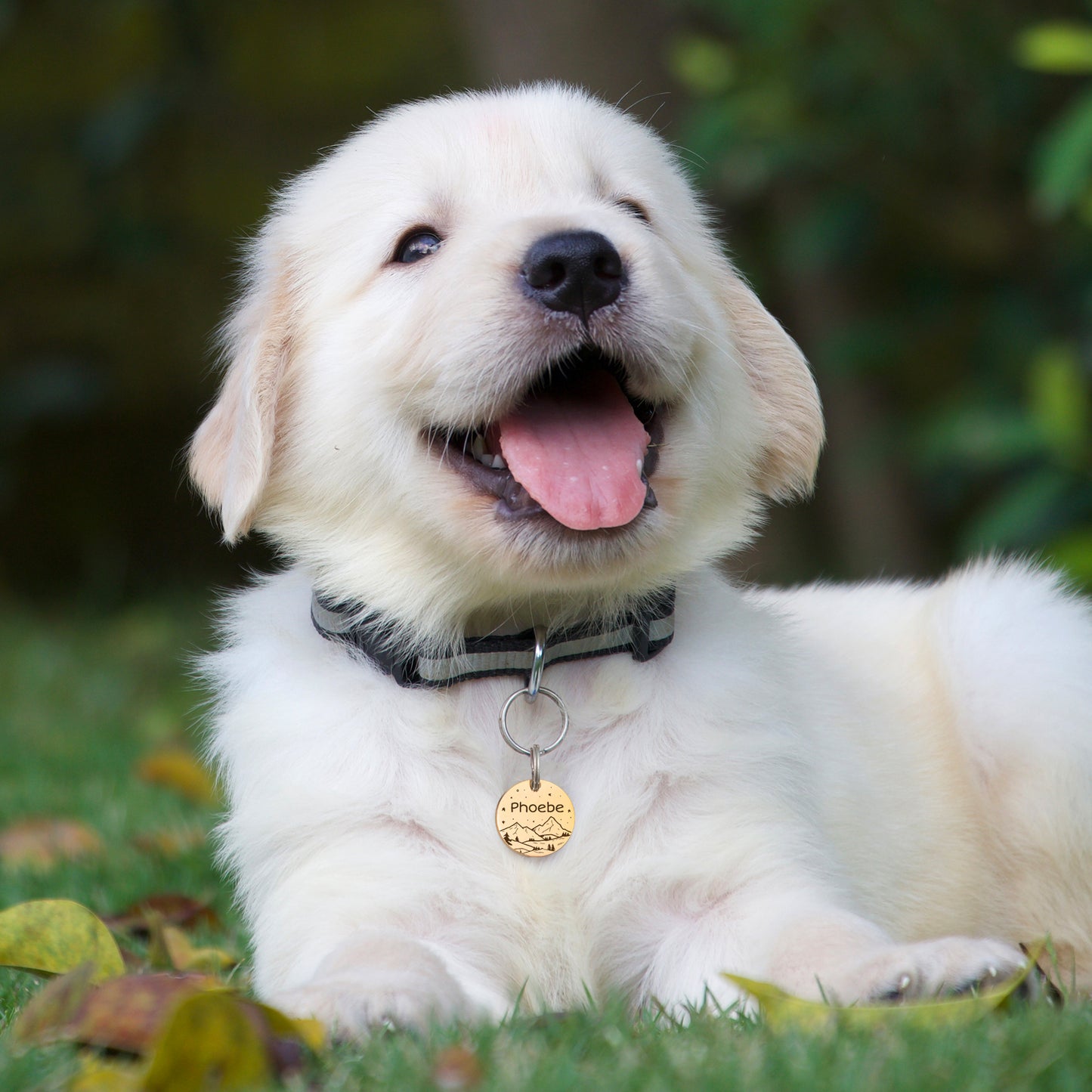 Round Mountain Starry Sky Themed Pet Tag