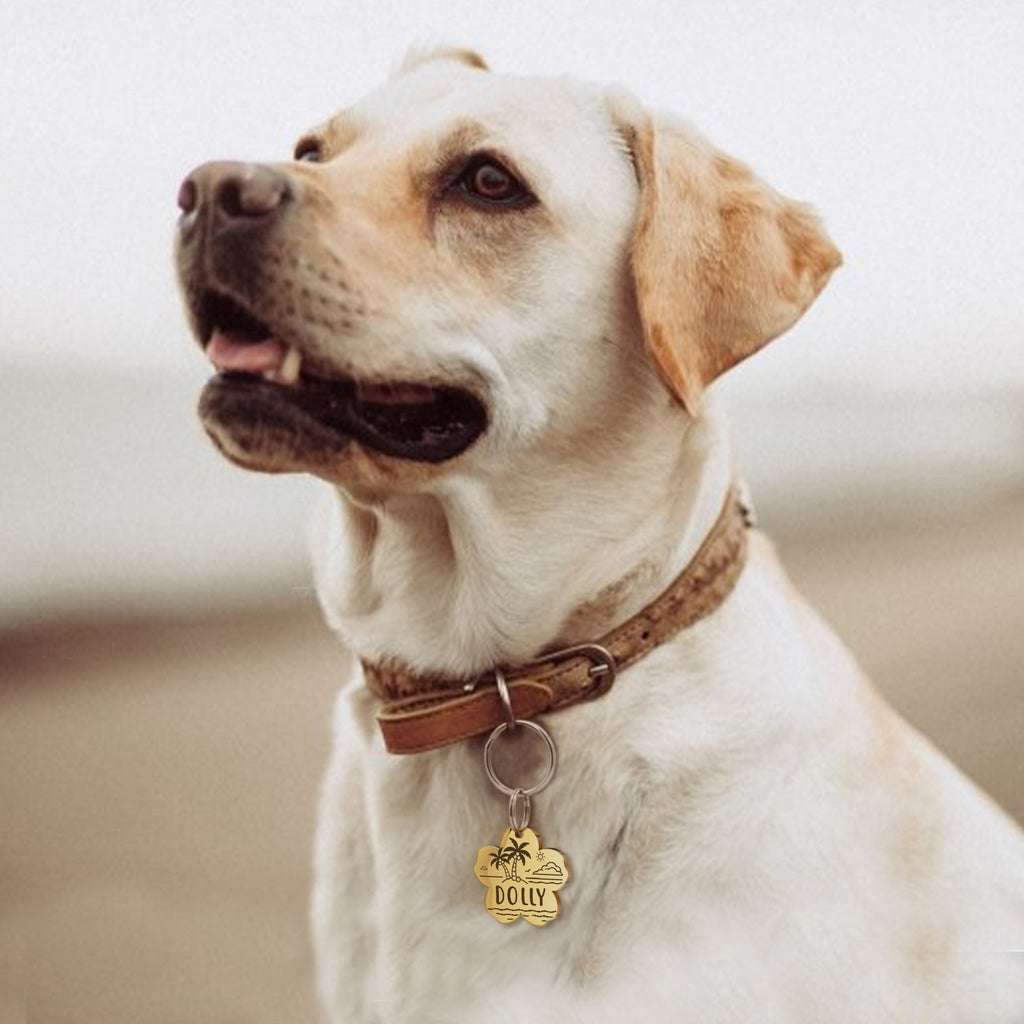 Personalized Cherry Blossom Stainless Steel Pet ID Tag