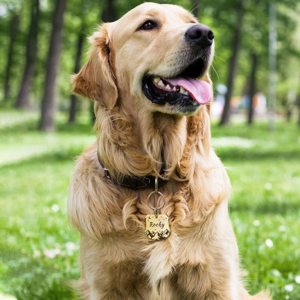 Personalized Shield Stainless Steel Pet ID Tag