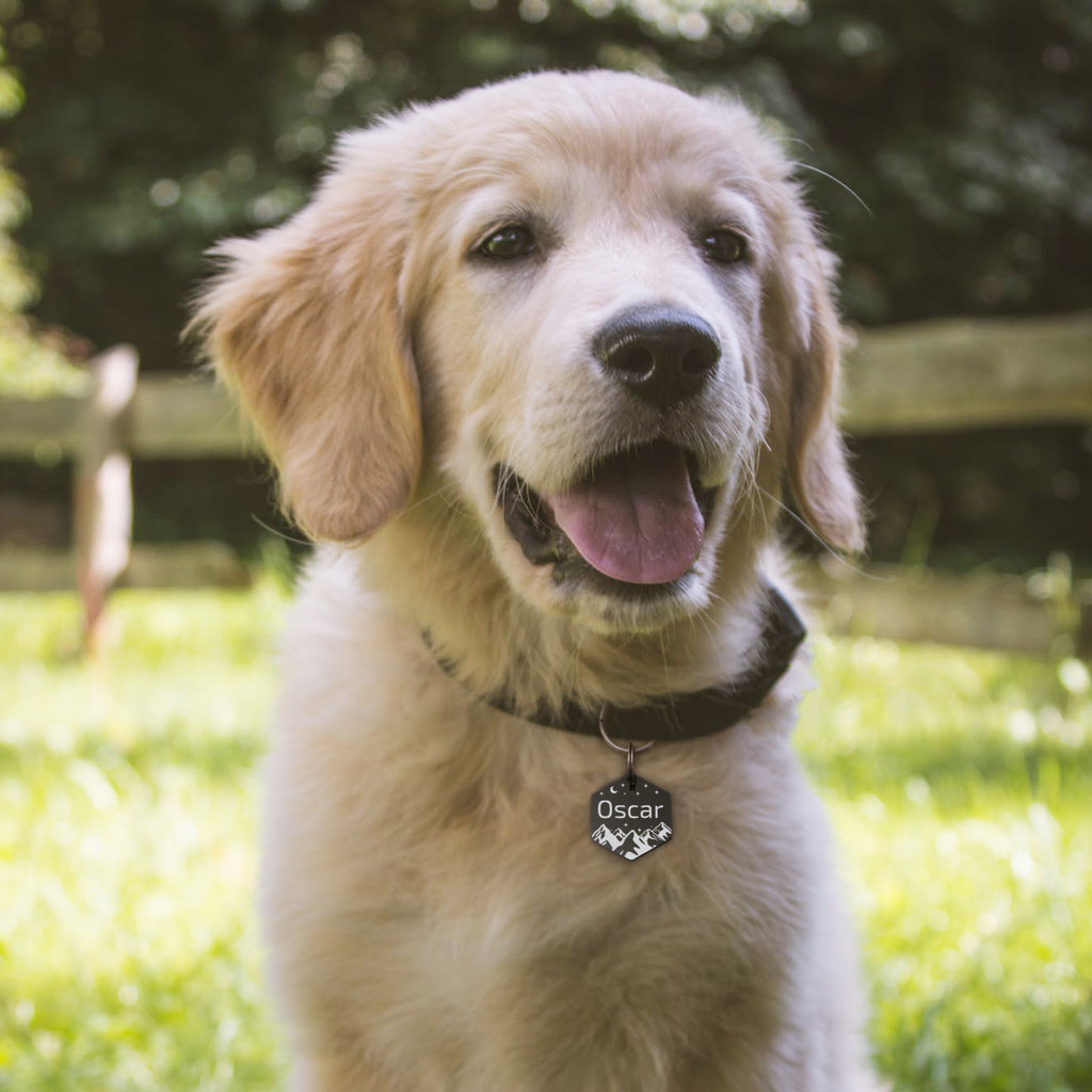 Personalized Hexagon Stainless Steel Pet ID Tag