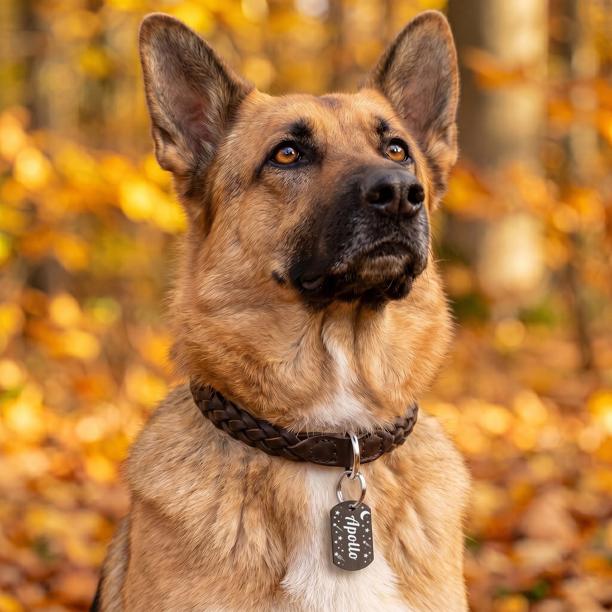 Personalized Tag Stainless Steel Pet ID Tag