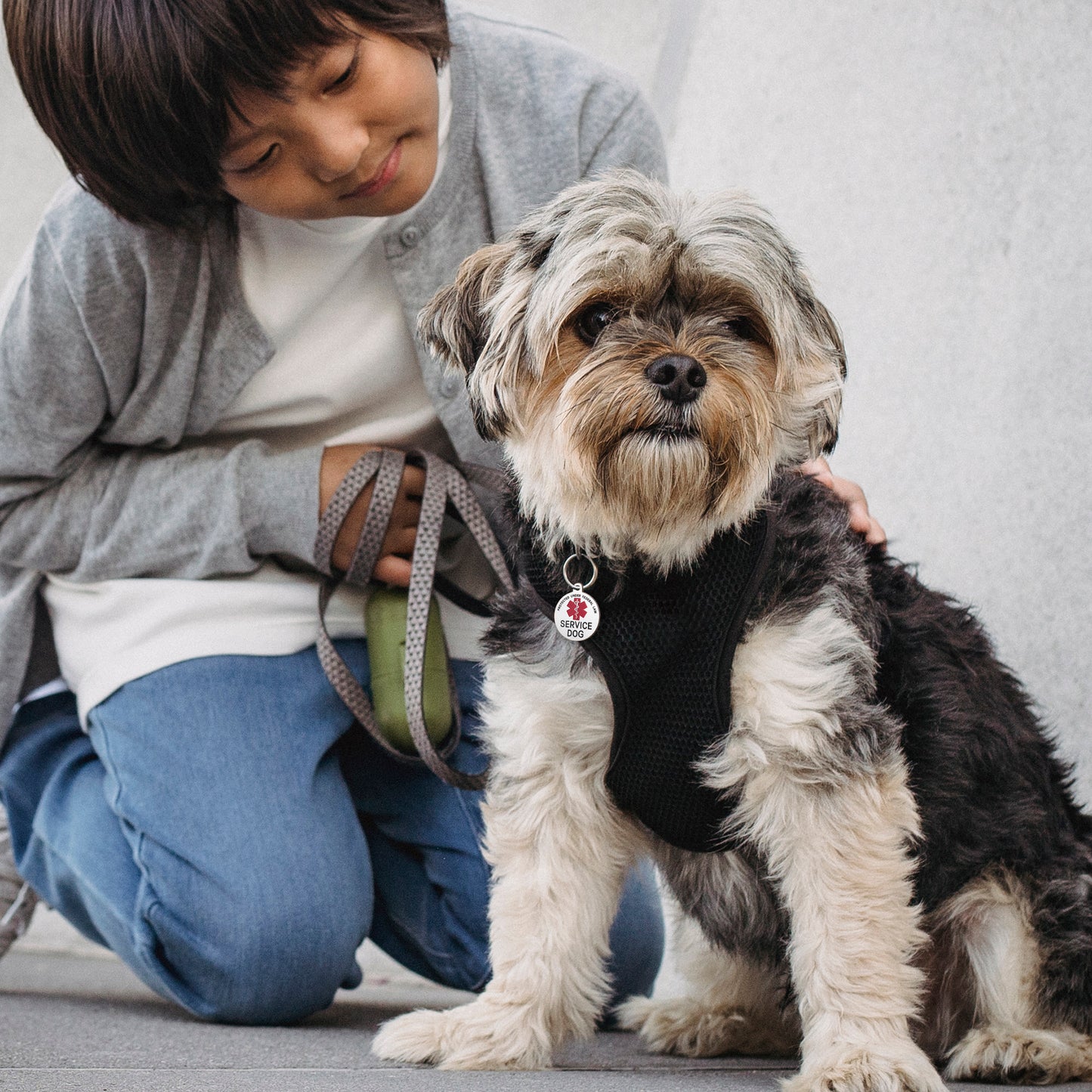 Service Dog Medical Alert Pet ID Tag