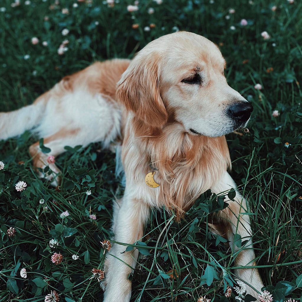 Moon Space Pet ID Dog Tag