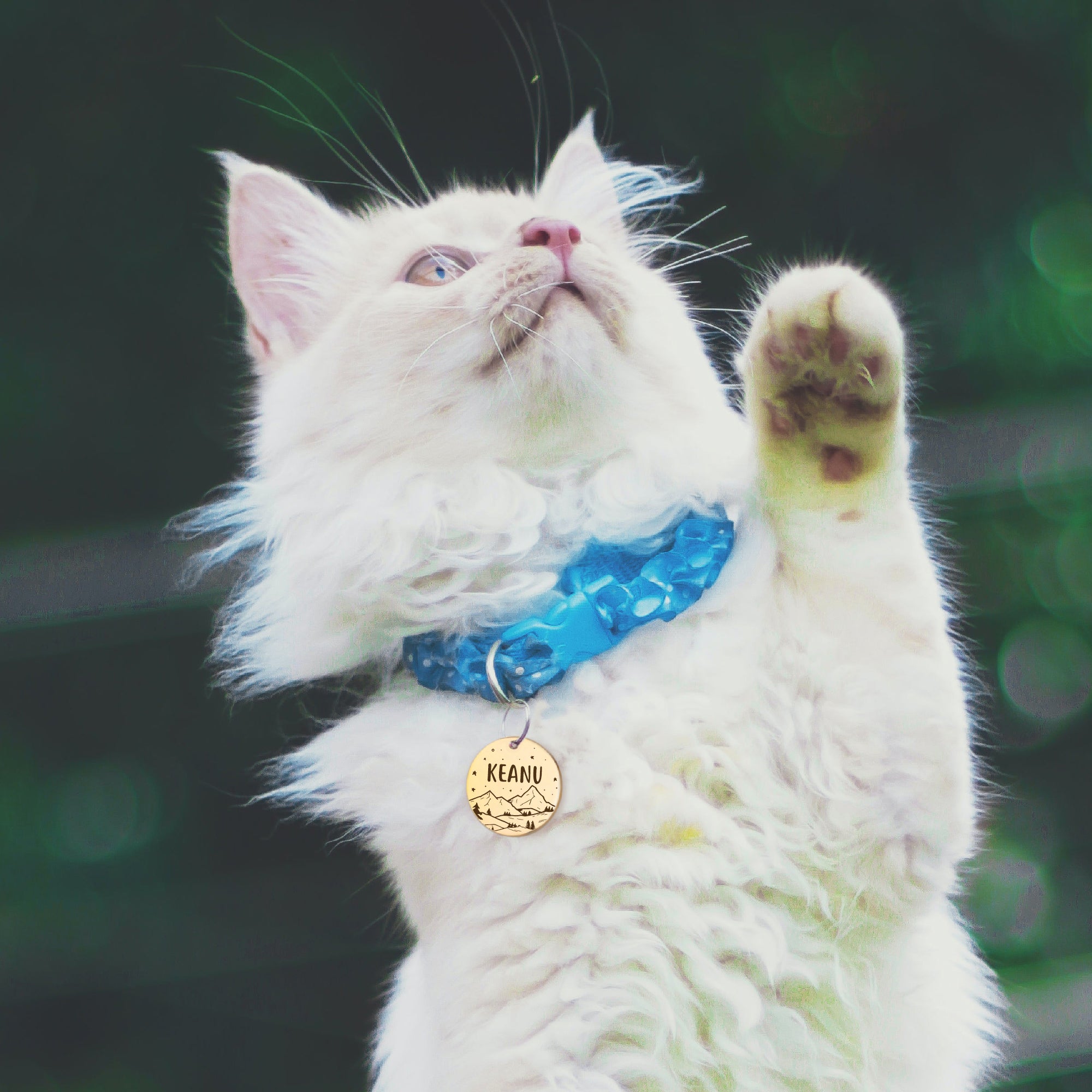 Mountain Starry Sky Round Pet ID Dog Tag