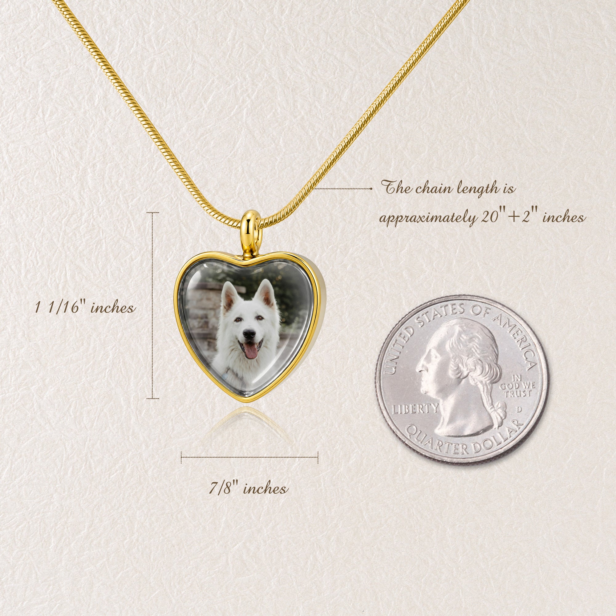 Heart Pet Memorial Ashes Holder Necklace with Photo