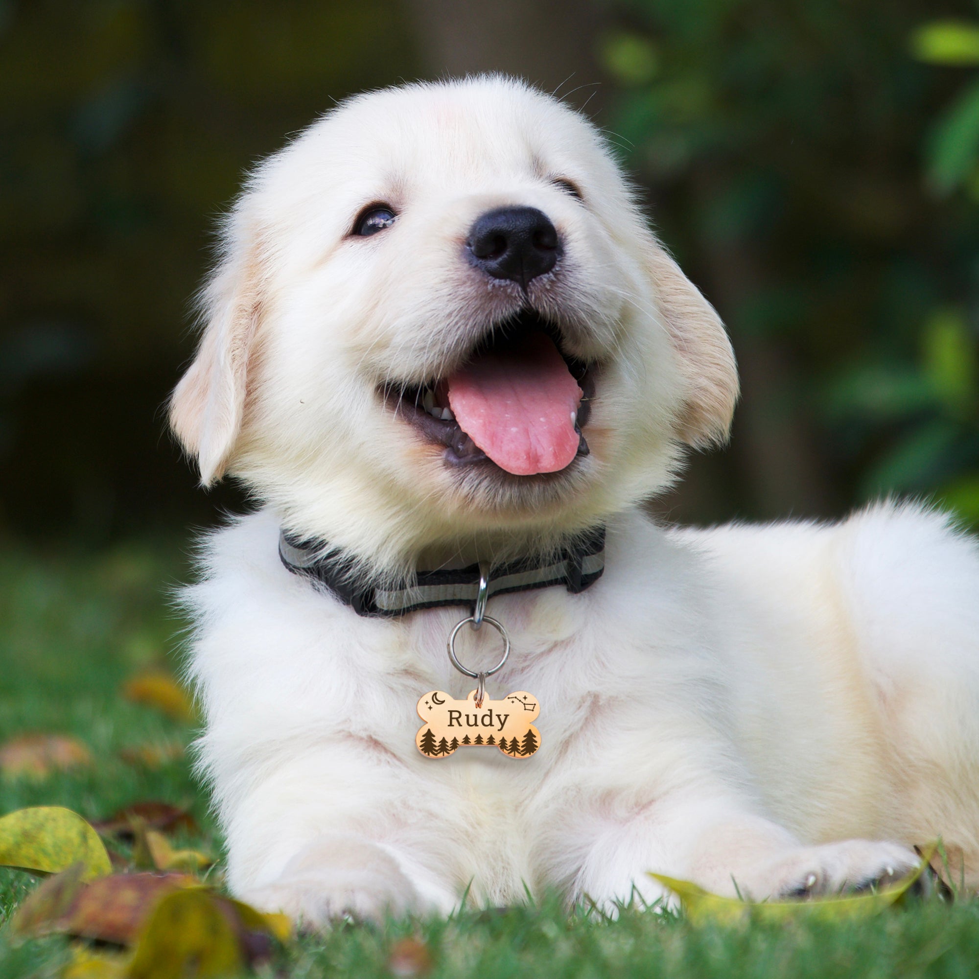 Personalized Bone Stainless Steel Pet ID Tag
