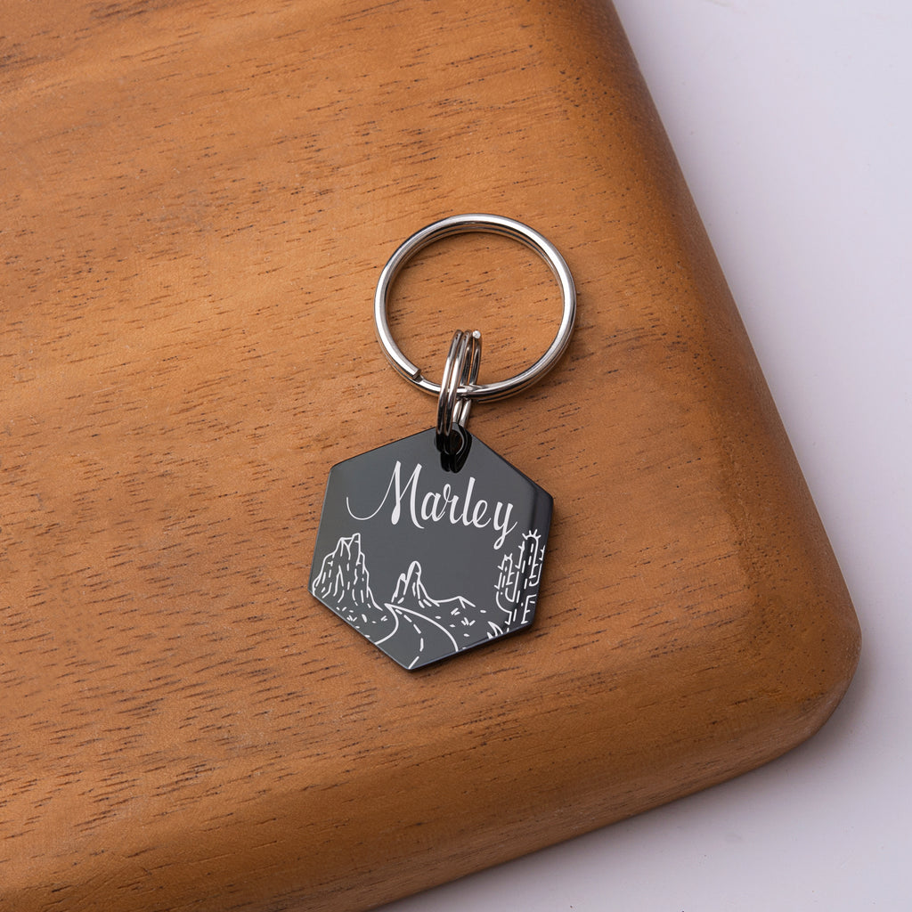 Rocky Road Cactus Hexagon Pet ID Dog Tag