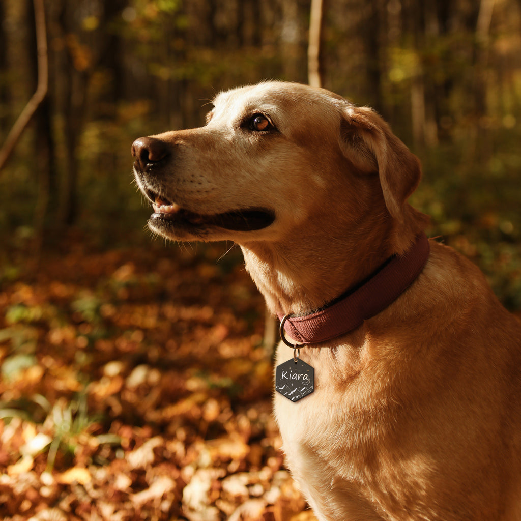 Hexagon Mountain Peak Pet ID Dog Tag