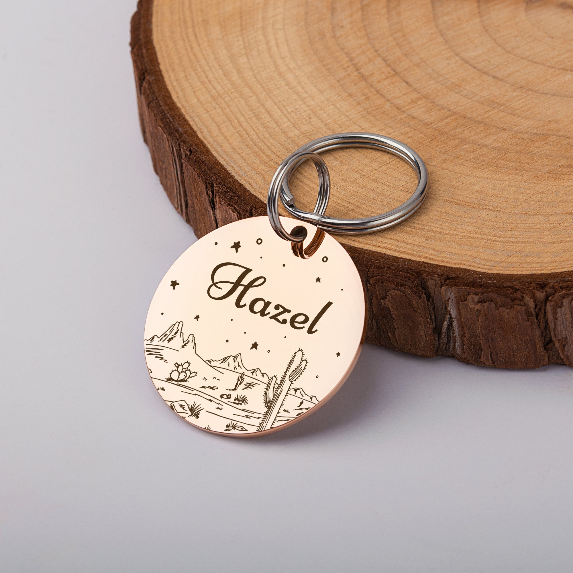 Desert Starry Sky Round Pet ID Dog Tag