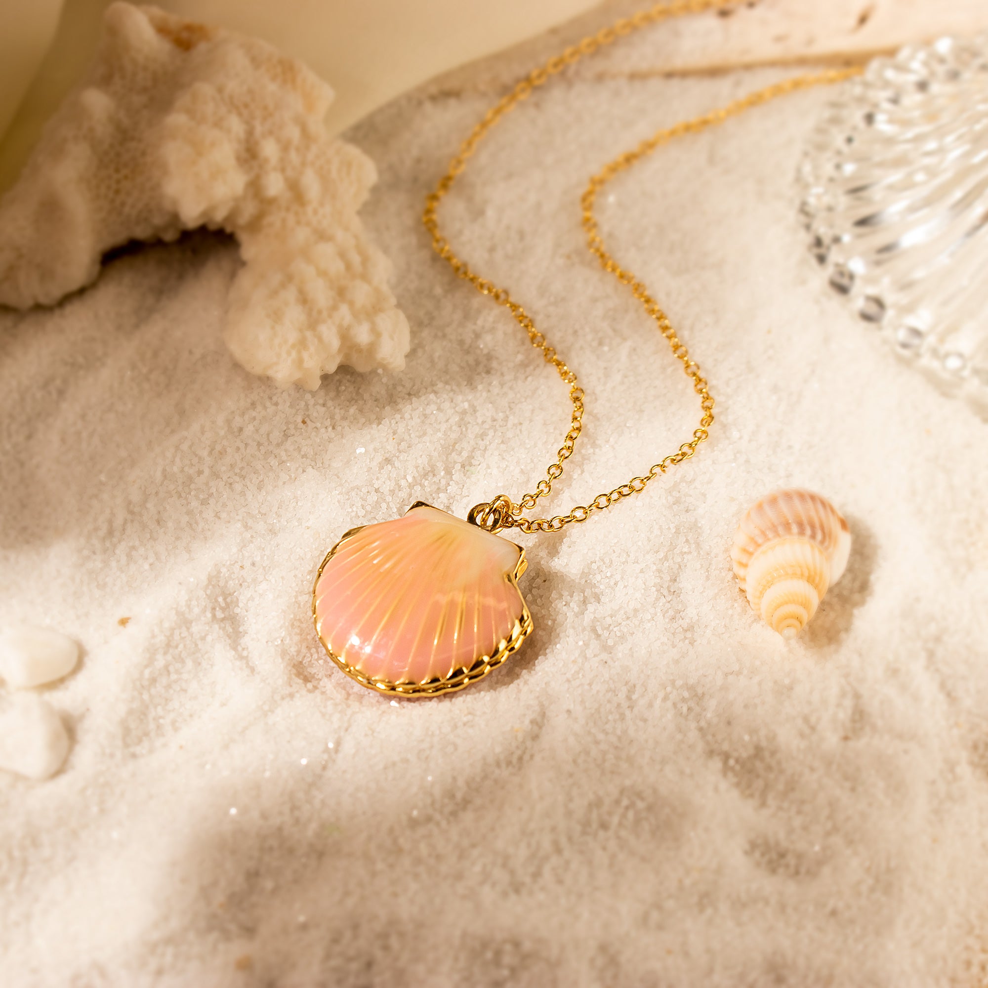 Custom Seashell Photo Locket Necklace