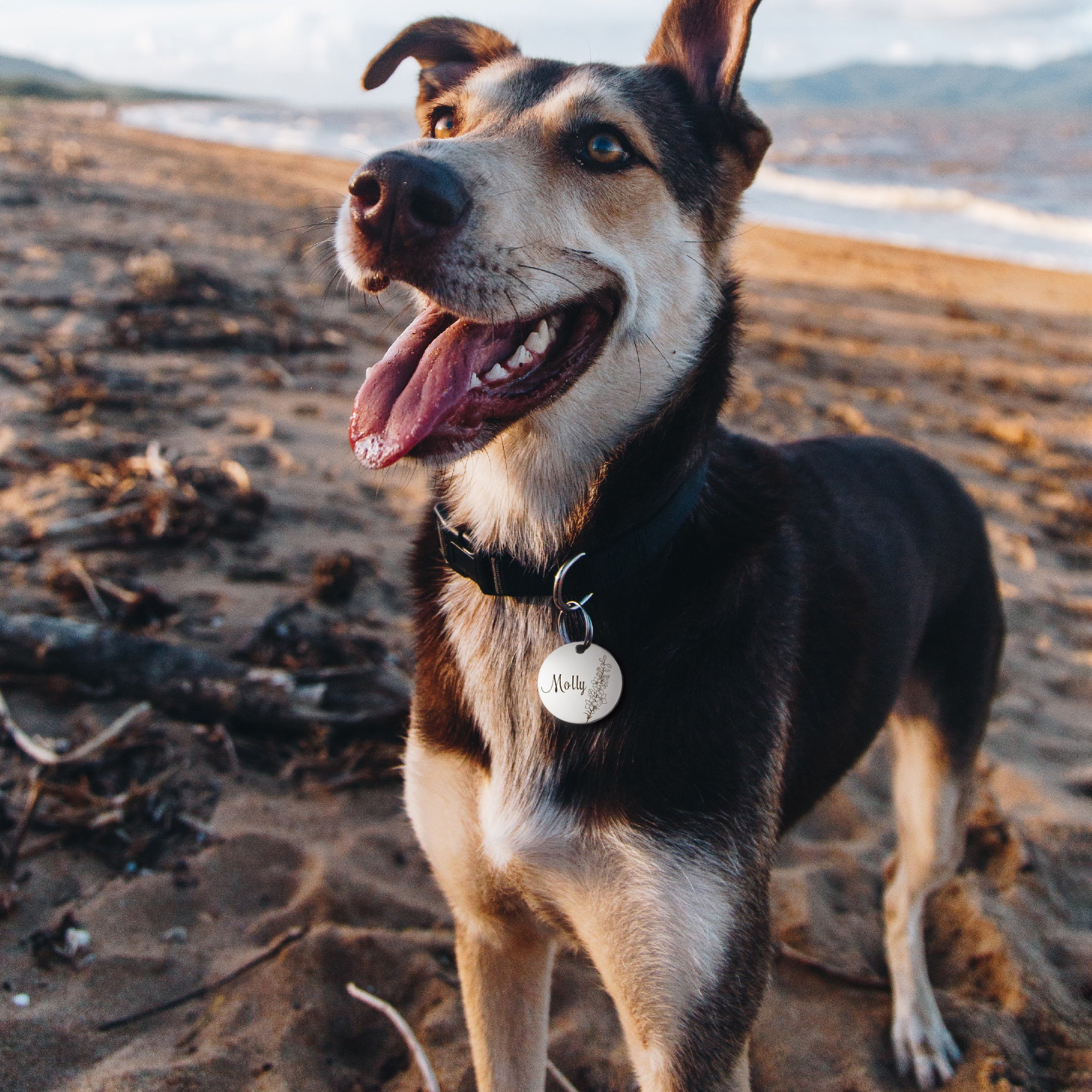 Round Birth Flower Pet ID Dog Tag