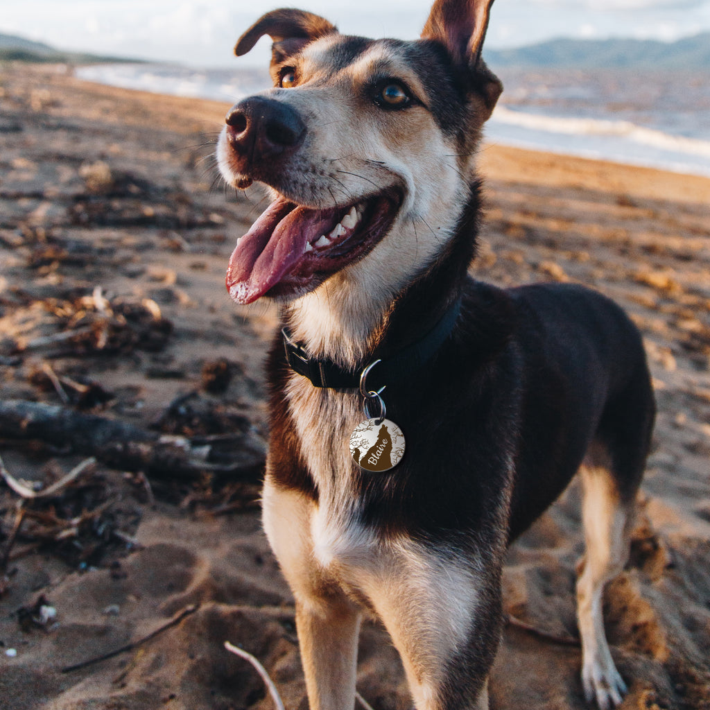 Howling Wolf Round Pet ID Dog Tag