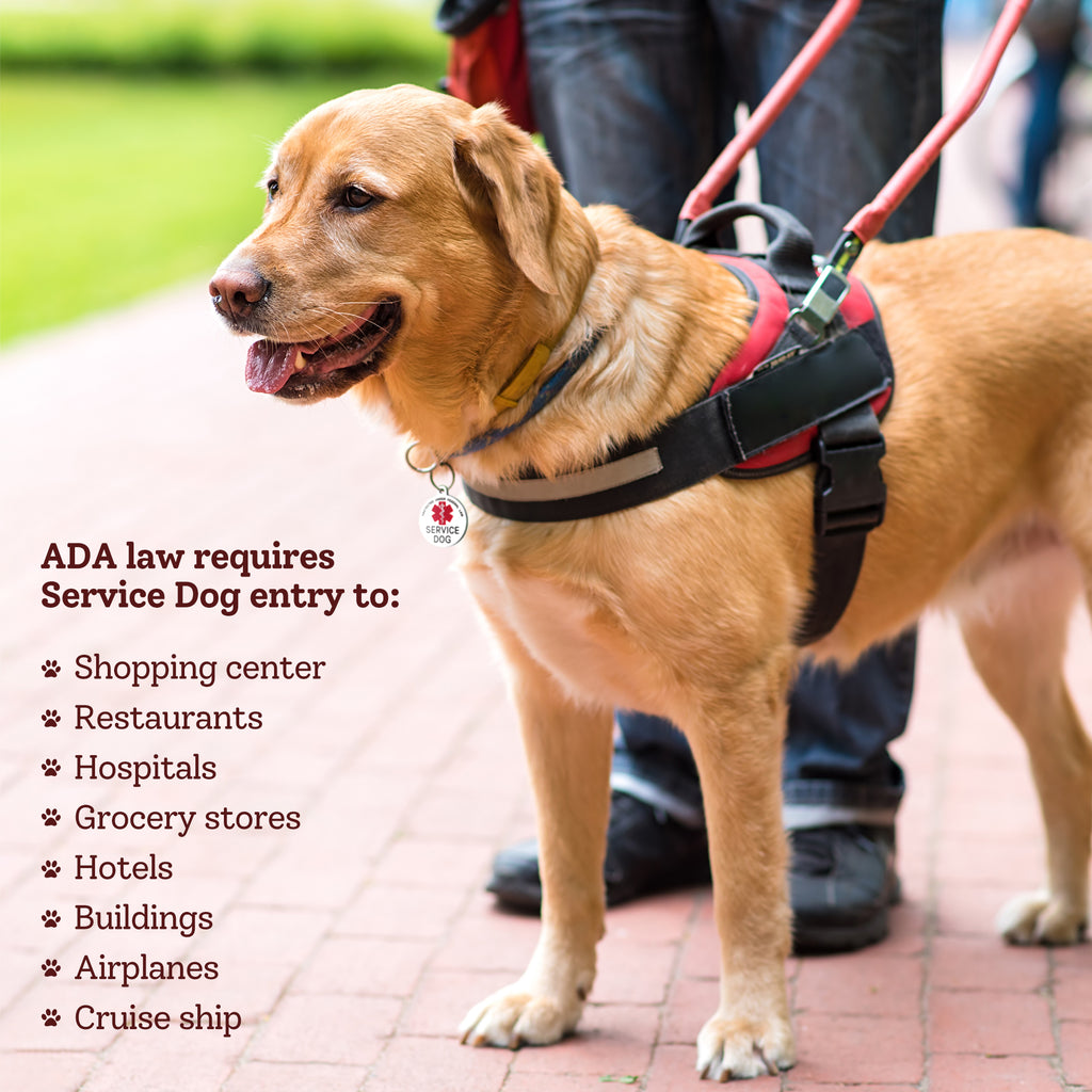 Service Dog Medical Alert Pet ID Dog Tag